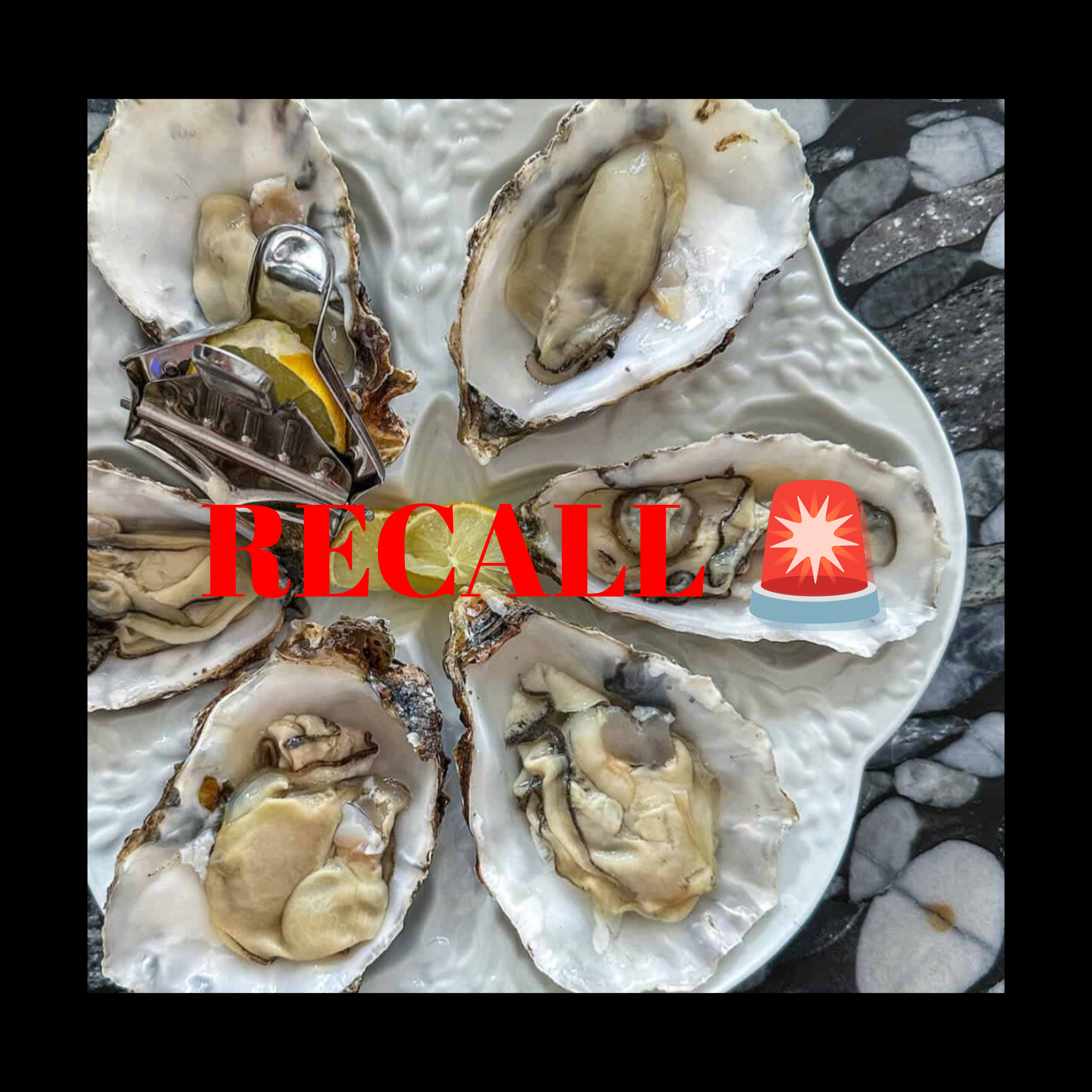 InCollage_20260309_201005989