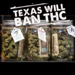 Texas ban THCA on selling smokable cannabis takes effect March 31