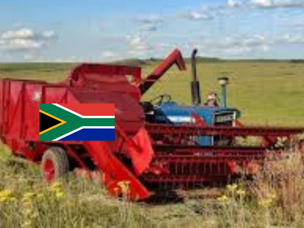 InCollage_20260324_200013515