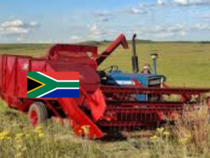 InCollage_20260324_200013515