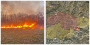 InCollage_20260403_193943455