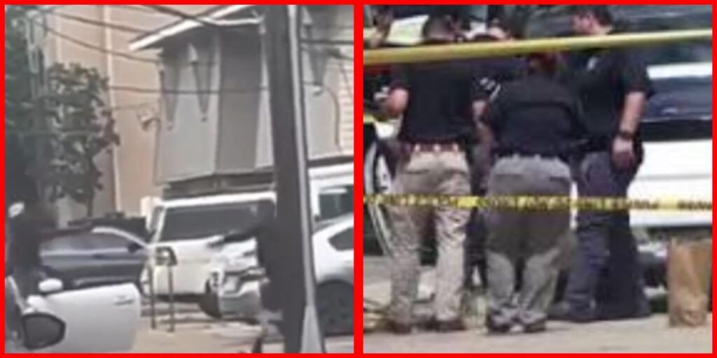 InCollage_20260403_204616352