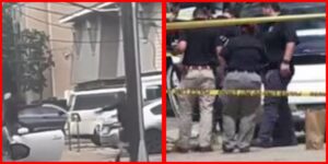 InCollage_20260403_204616352