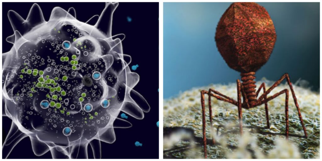 InCollage_20260408_203156141