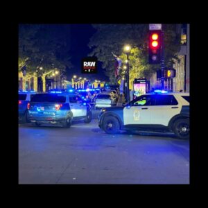 InCollage_20260411_090555269