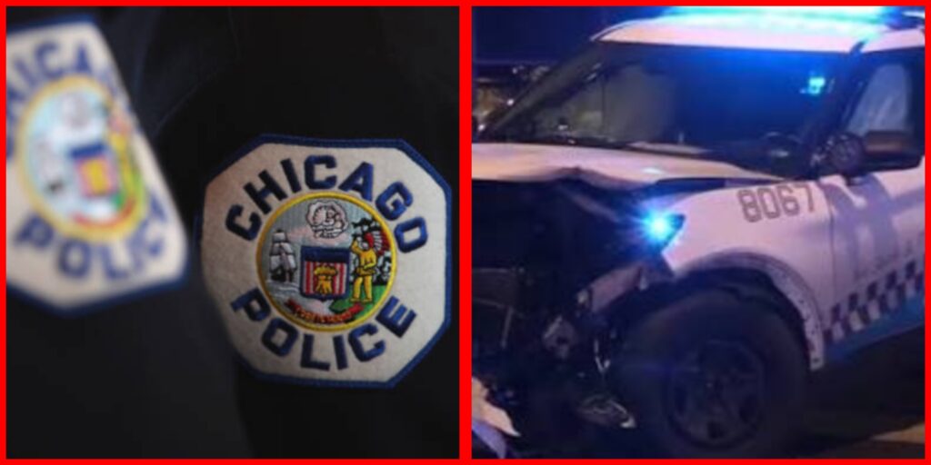 InCollage_20260412_081258454