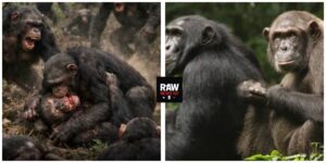 InCollage_20260412_182625422