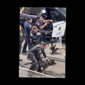 InCollage_20260413_204315249