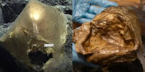 InCollage_20260423_163952377