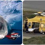 A 38-year-old man died on Saturday after he was attacked by a 13-foot shark in Australia.