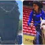 Teen Charged in Alleged Horse Stabbing Spree During Las Vegas Barrel Racing Event