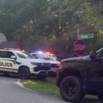 At least 2 police officers and a police K-9 were shot while responding to a shooting call in the Gumfork Place: Virginia