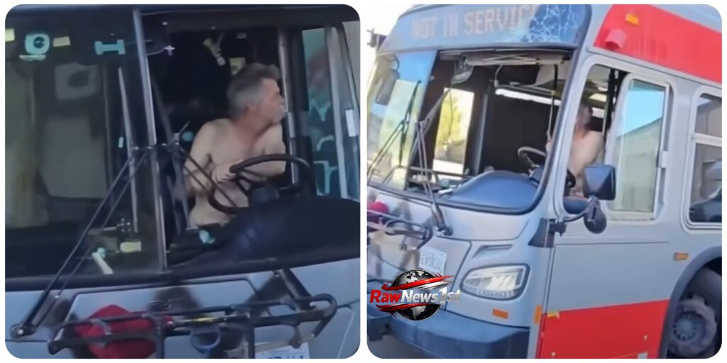 InCollage_20261010_102625252